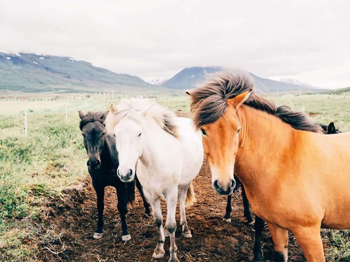 tumblr_nabjwtxvhN1qfirfao1_1280