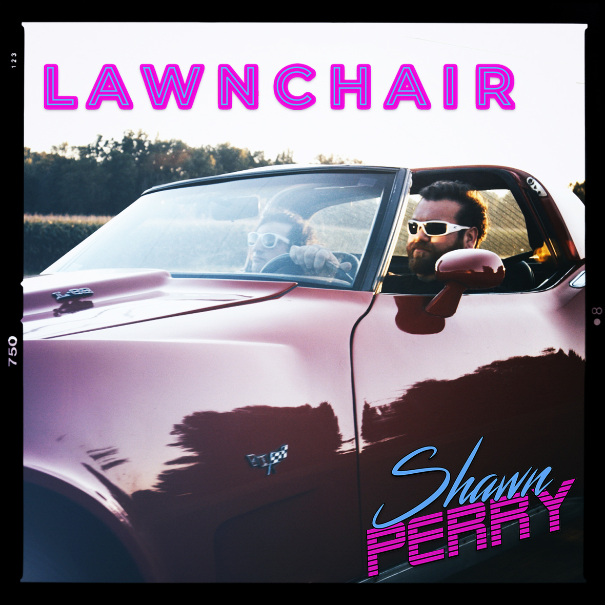 lawnchaircover3