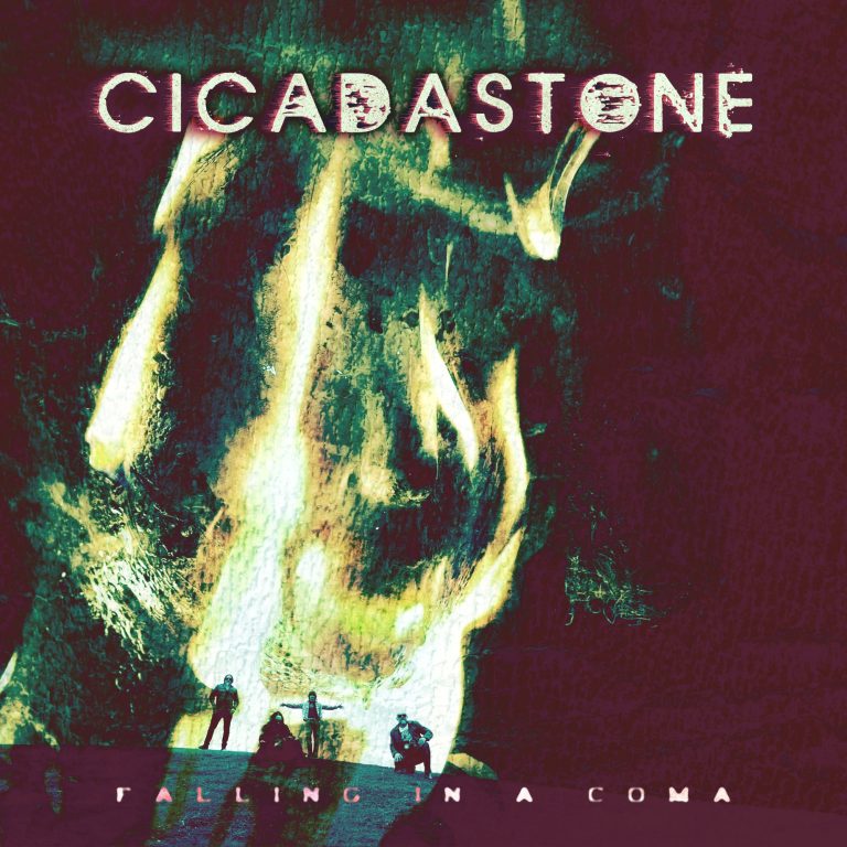 Cicadastone-Falling In A Coma